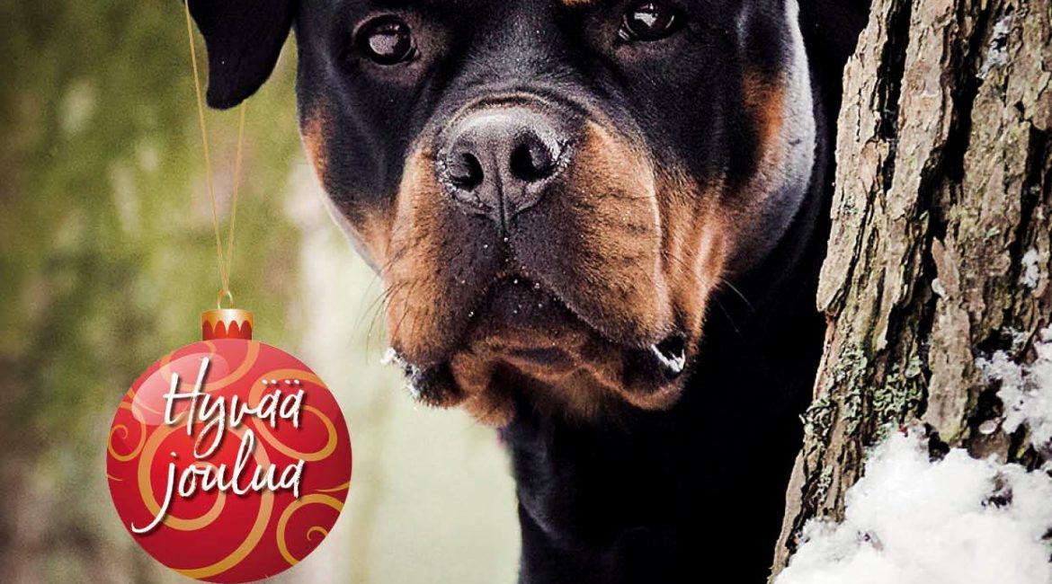 Rottweiler-lehti nro 6/18 digilehtenä