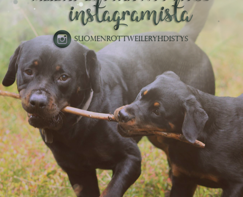 SRY nyt myös Instagramissa