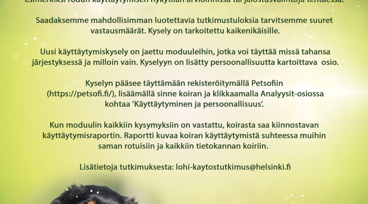 Käyttäytymiskysely