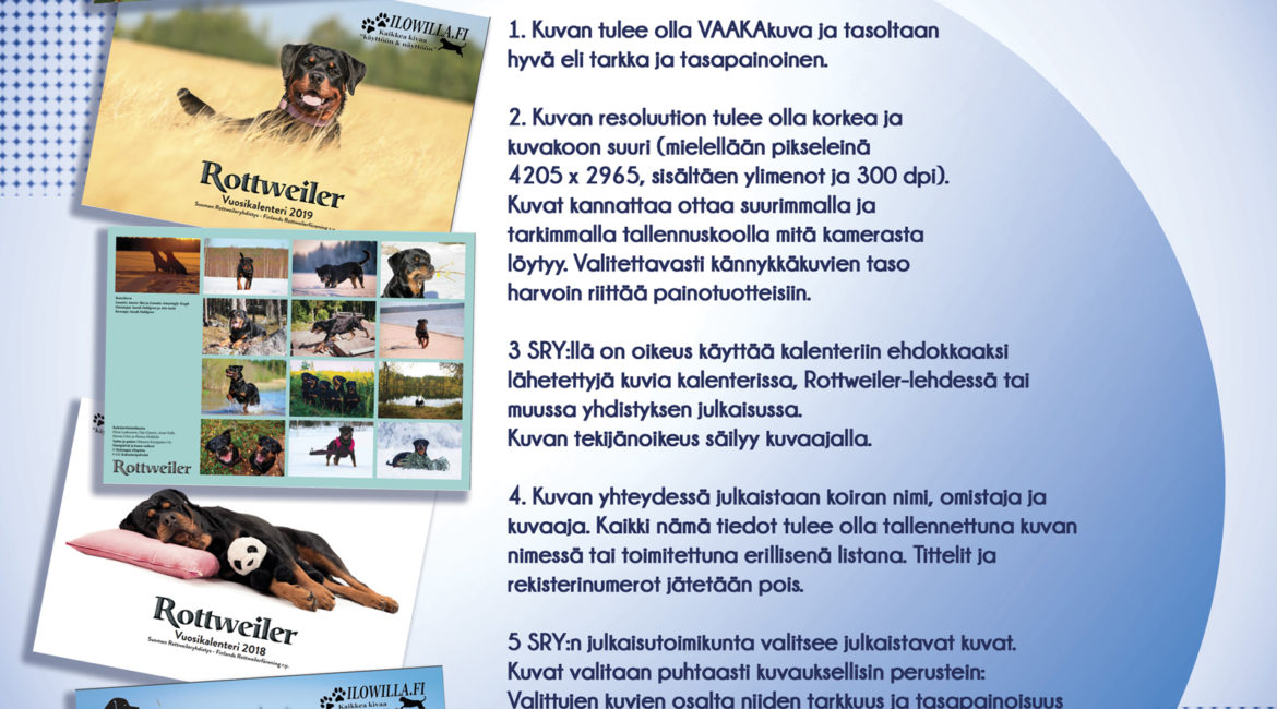 Haetaan kuvia Rottweiler-kalenteriin 2021